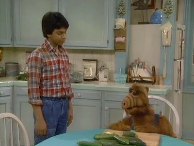 ALF: 1×18 – Hledá se otec