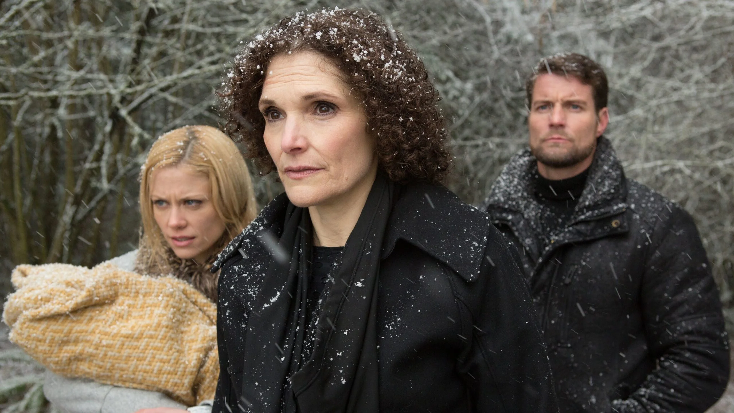 Grimm: 3×17 – Shledání
