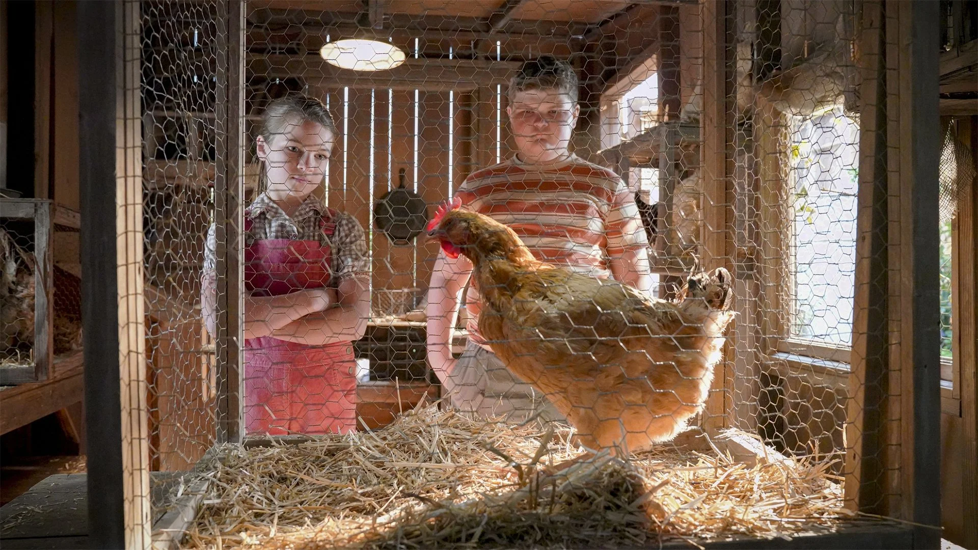 Malý Sheldon: 3×11 – Živá drůbež, mrtvá drůbež a svátost manželská