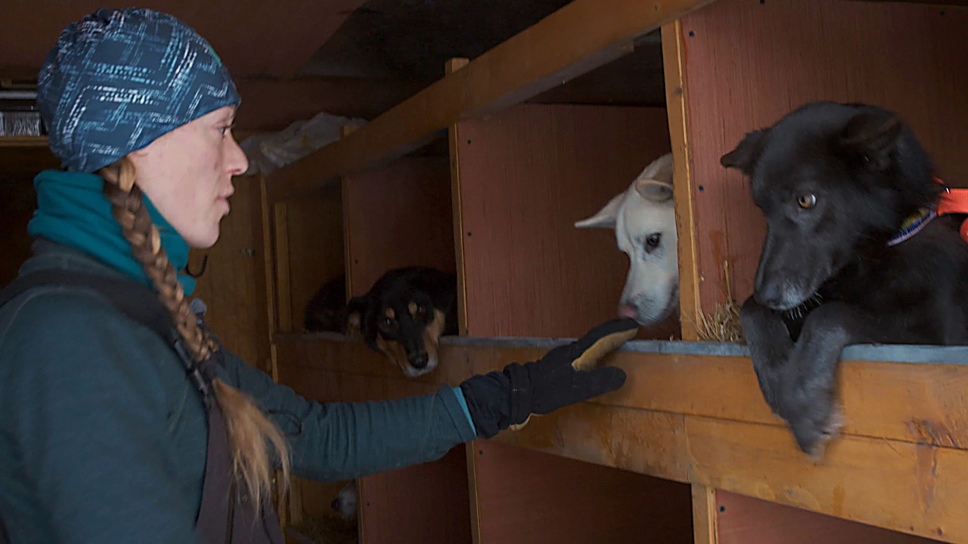 Muž, žena, pes: 1×7 – Úprk před vlky